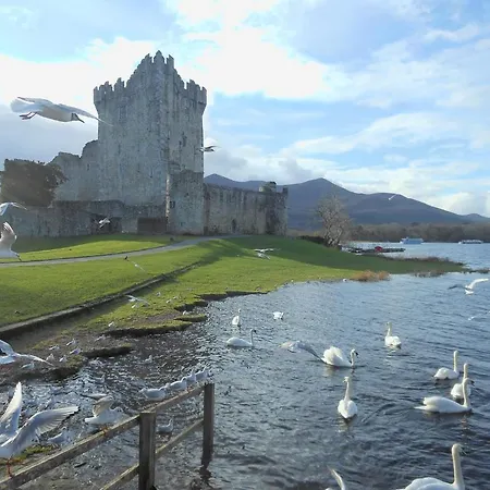 Kingdom View B&B 3* Killarney